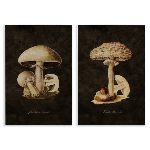Stupell Industries Vintage Mushrooms on Black Plants & Flowers Painting Unframed Art Print Wall Art, 10 x 15, Set of 2