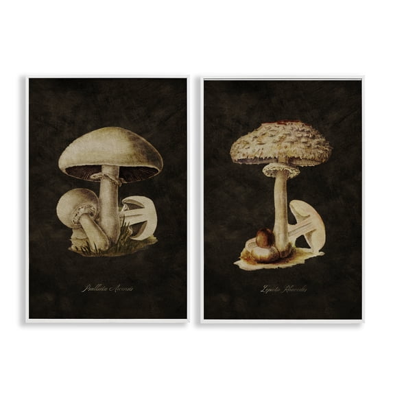 Stupell Industries Vintage Mushrooms on Black Plants & Flowers Painting White Framed Art Print Wall Art, 16 x 24, Set of 2