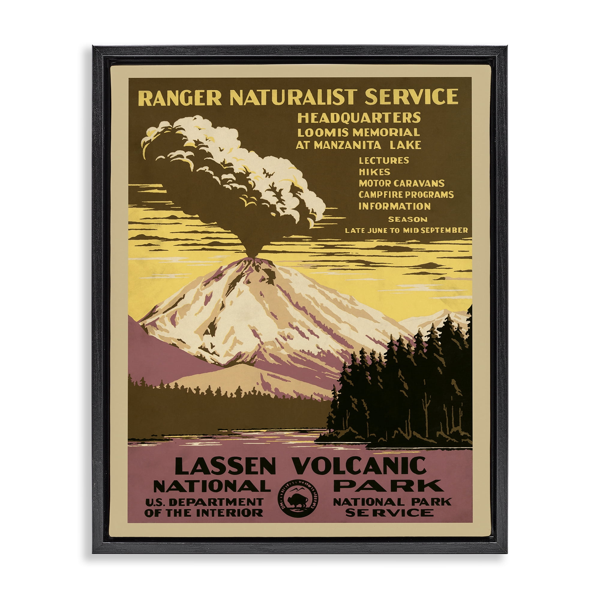 Stupell Industries Vintage National Park Landscape Painting Black Floater Framed Art Print Wall Art, 25 x 31