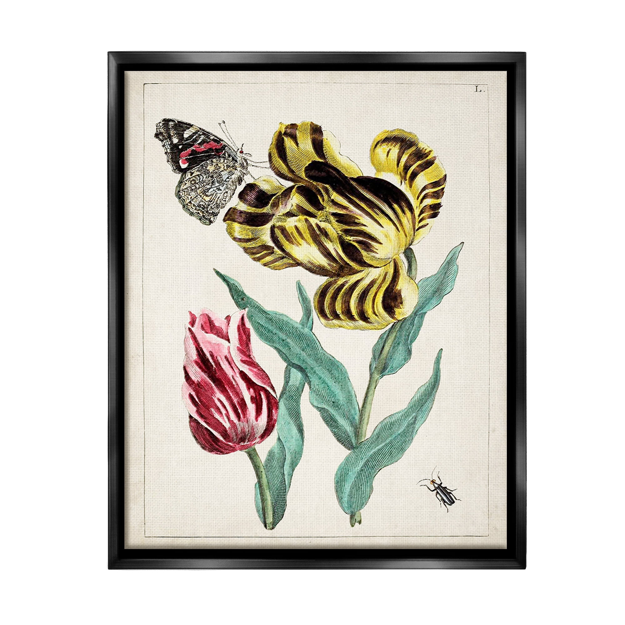 Stupell Industries Vintage Nature & Bugs Botanical & Floral Painting Black Floater Framed Canvas Art Print Wall Art, 17 x 21
