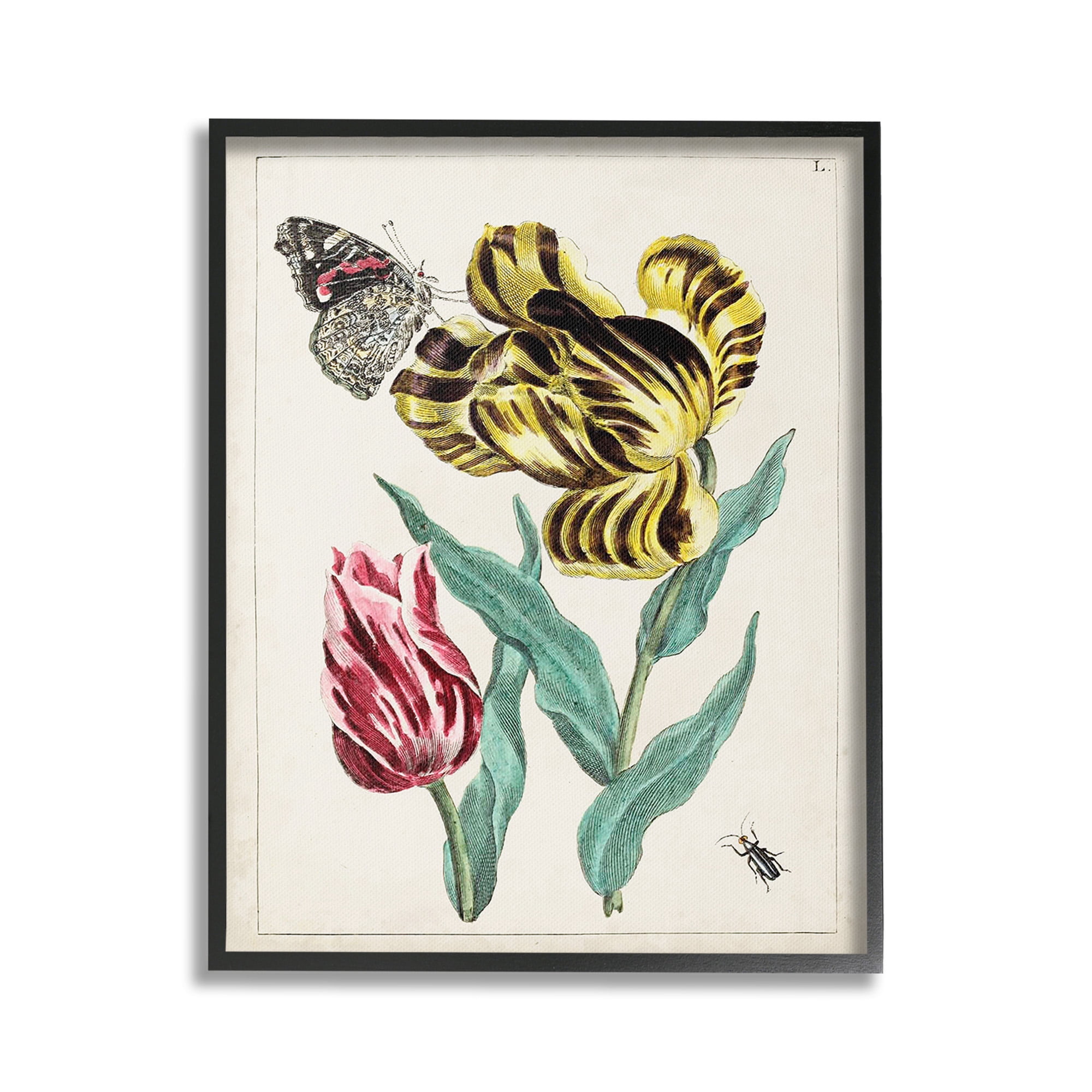 Stupell Industries Vintage Nature & Bugs Botanical & Floral Painting Black Framed Art Print Wall Art, 24 x 30