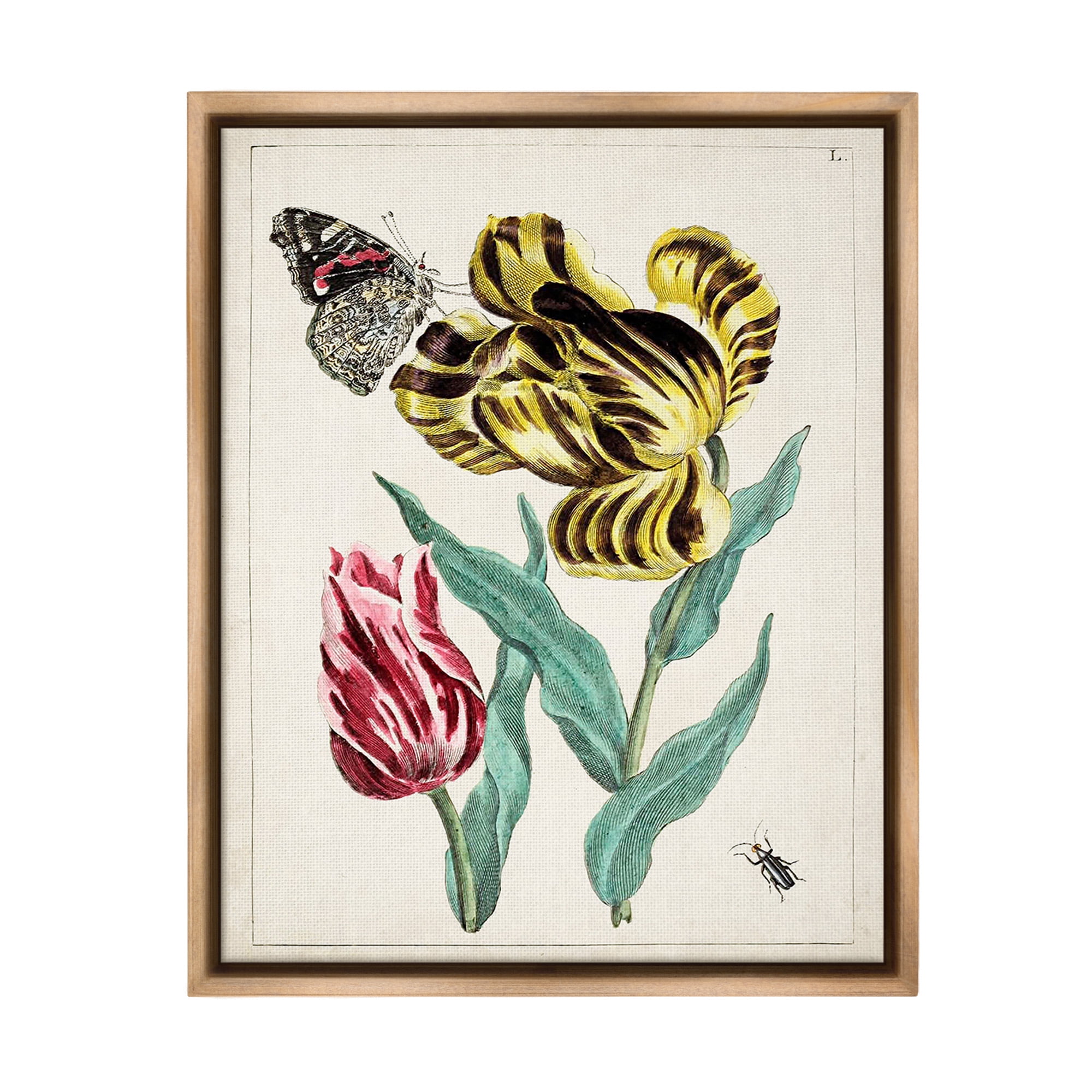 Stupell Industries Vintage Nature & Bugs Botanical & Floral Painting Brown Floater Framed Canvas Art Print Wall Art, 25 x 31