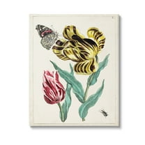 Stupell Industries Vintage Nature & Bugs Botanical & Floral Painting Gallery Wrapped Canvas Art Print Wall Art, 16 x 20