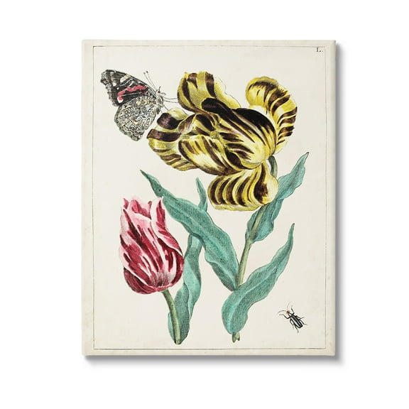 Stupell Industries Vintage Nature & Bugs Botanical & Floral Painting Gallery Wrapped Canvas Art Print Wall Art, 16 x 20