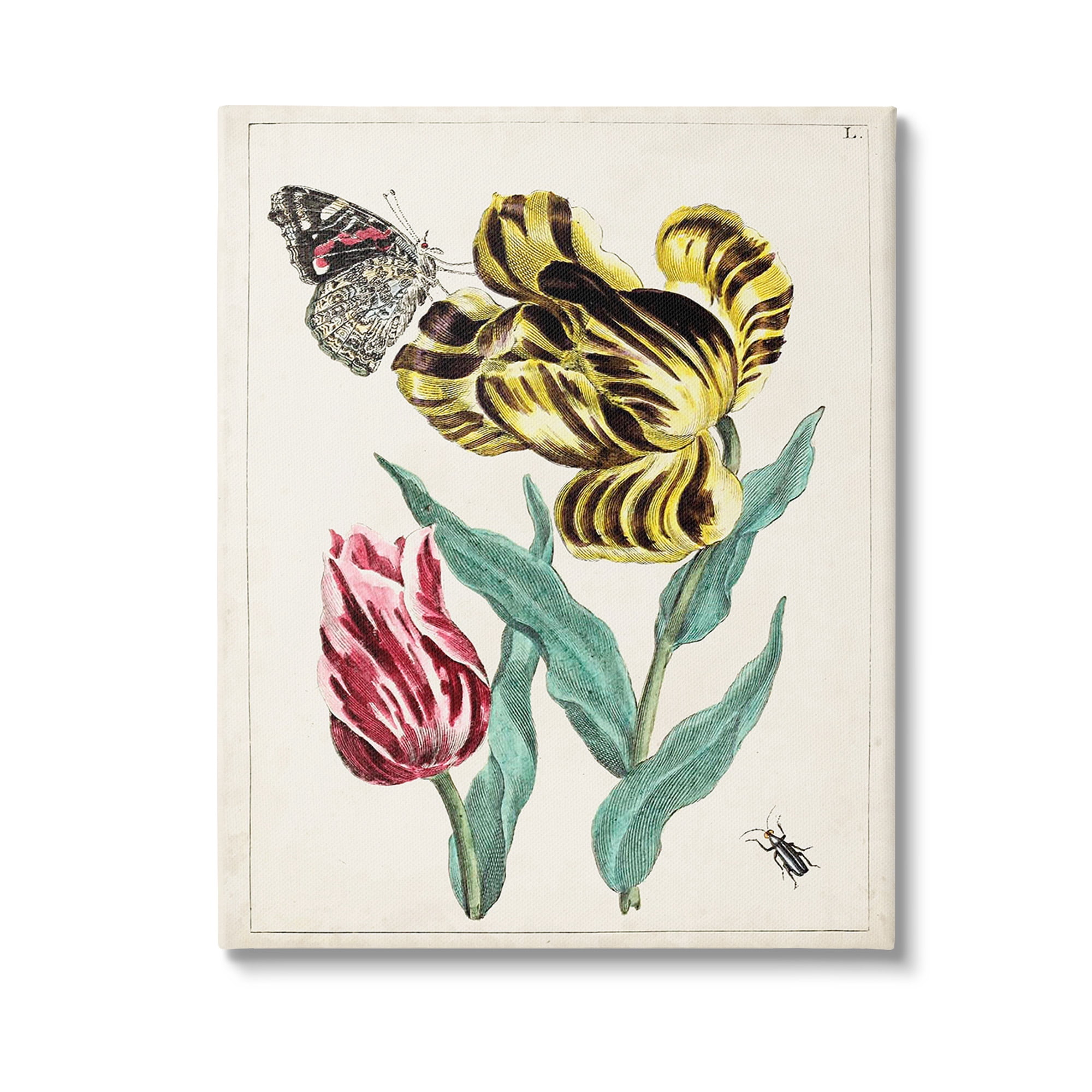 Stupell Industries Vintage Nature & Bugs Botanical & Floral Painting Gallery Wrapped Canvas Art Print Wall Art, 36 x 48