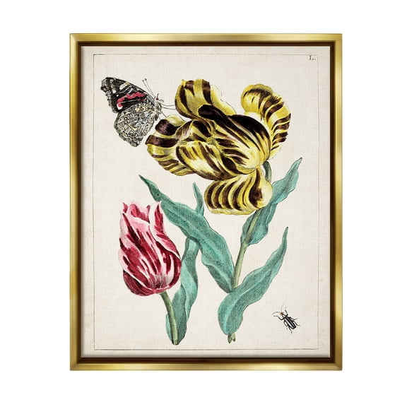 Stupell Industries Vintage Nature & Bugs Botanical & Floral Painting Gold Floater Framed Canvas Art Print Wall Art, 25 x 31