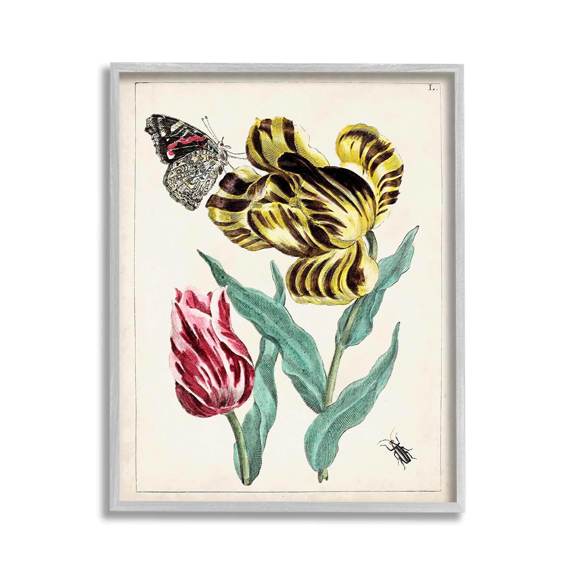 Stupell Industries Vintage Nature & Bugs Botanical & Floral Painting Gray Framed Art Print Wall Art, 11 x 14