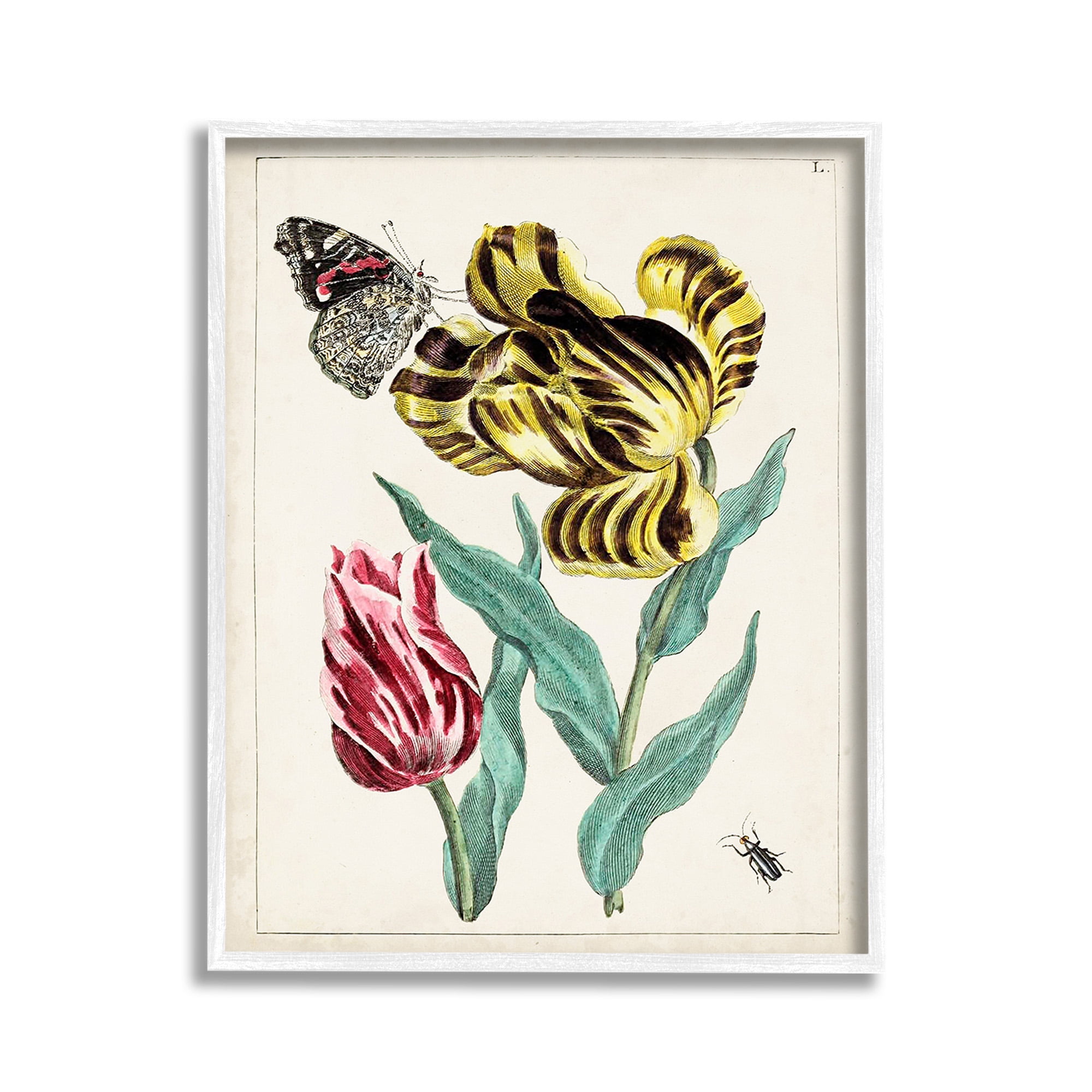 Vintage Botanical Floral Print with White Wood Frame, 11 x 14