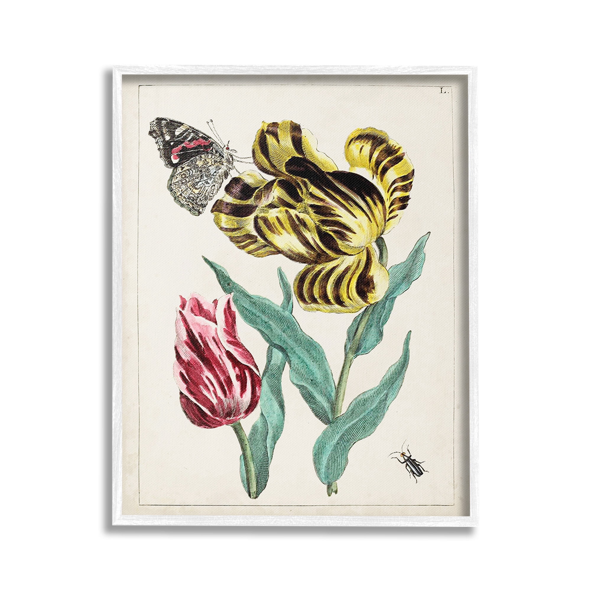 Stupell Industries Vintage Nature & Bugs Botanical & Floral Painting White Framed Art Print Wall Art, 24 x 30