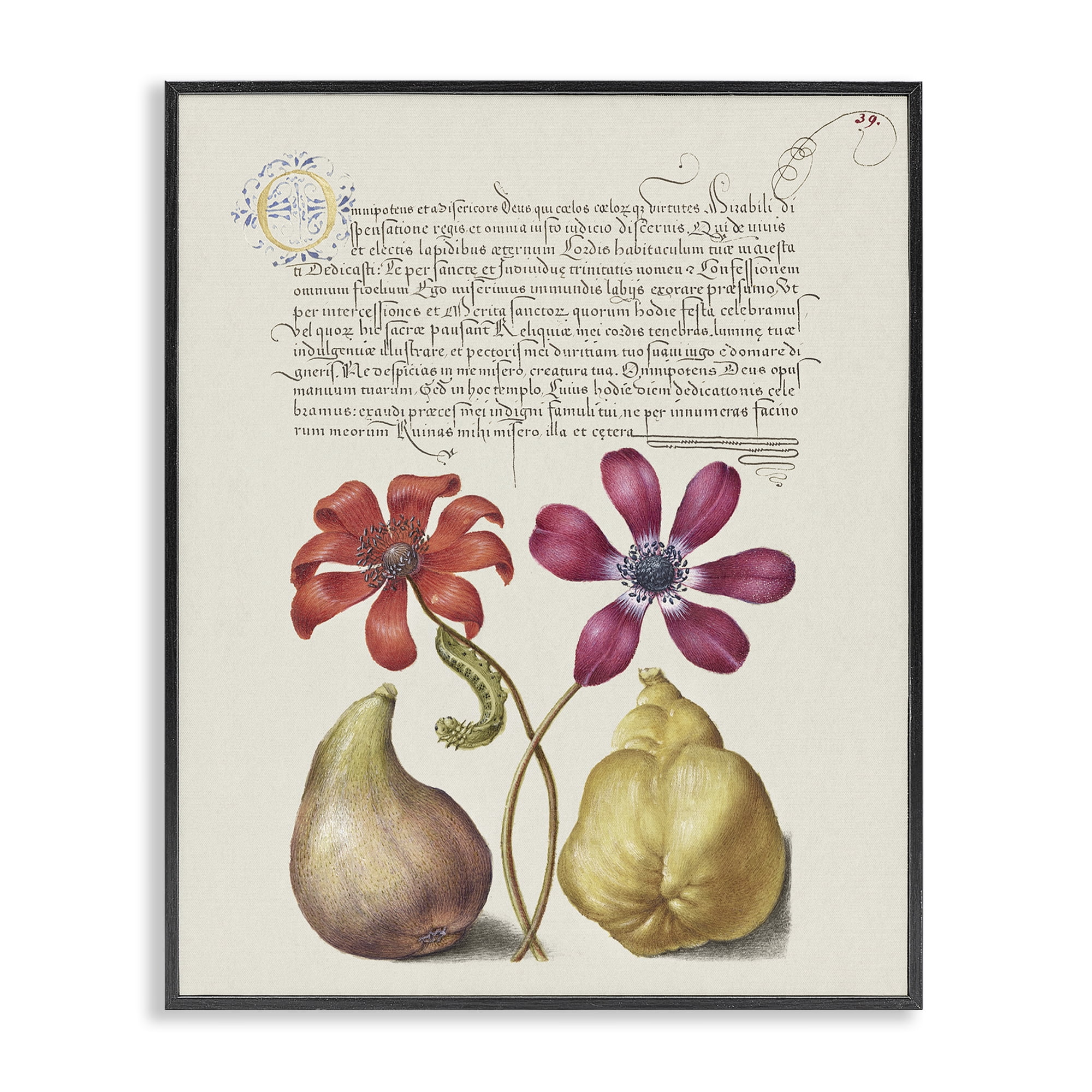 Stupell Industries Vintage Nature Page Text & Numbers Painting Black Framed Art Print Wall Art, 11 x 14