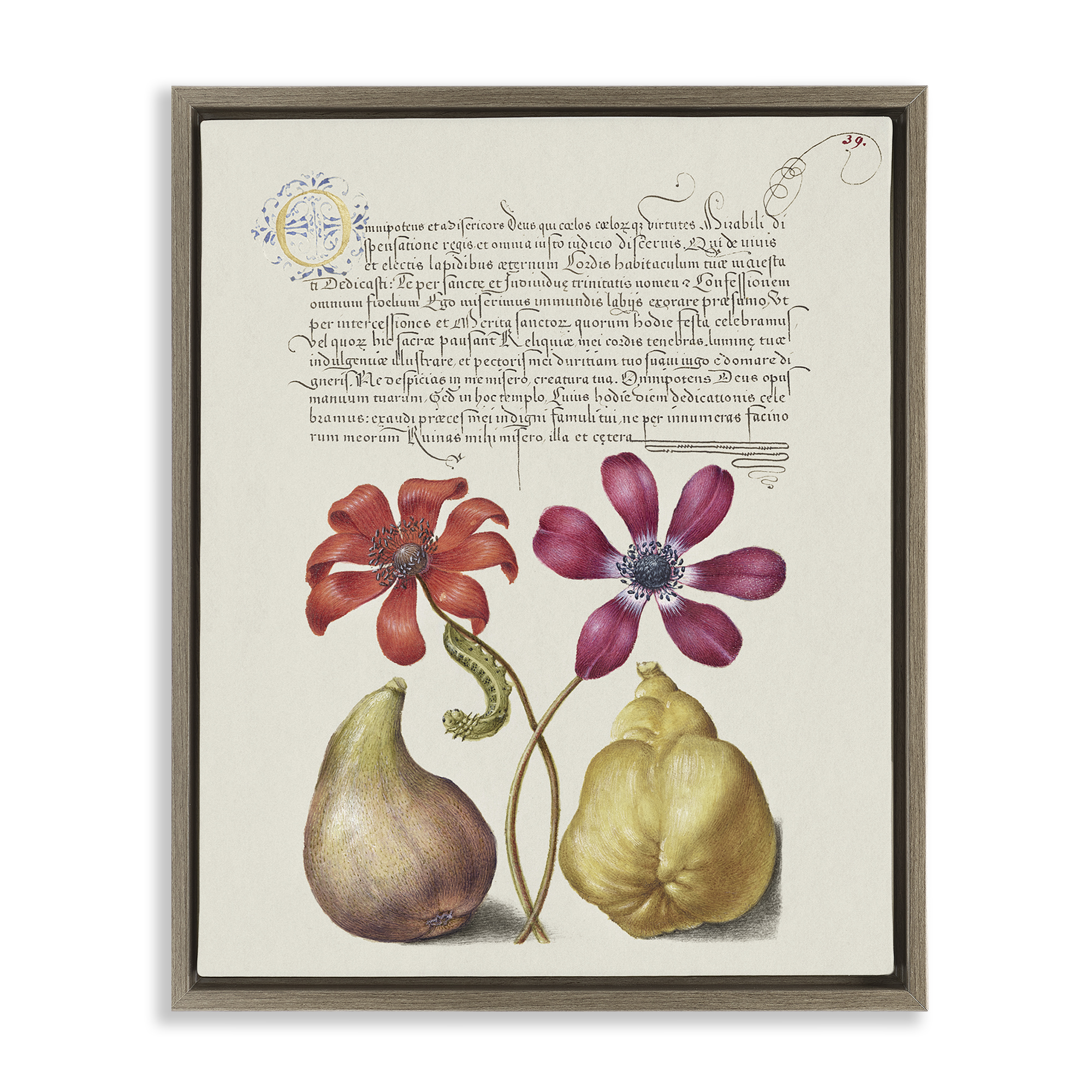 Stupell Industries Vintage Nature Page Text & Numbers Painting Brown Floater Framed Canvas Art Print Wall Art, 17 x 21