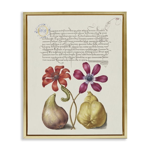 Stupell Industries Transitional Vintage Nature Page Gold Floating Frame Canvas Art, 17 x 21, by Grace Popp