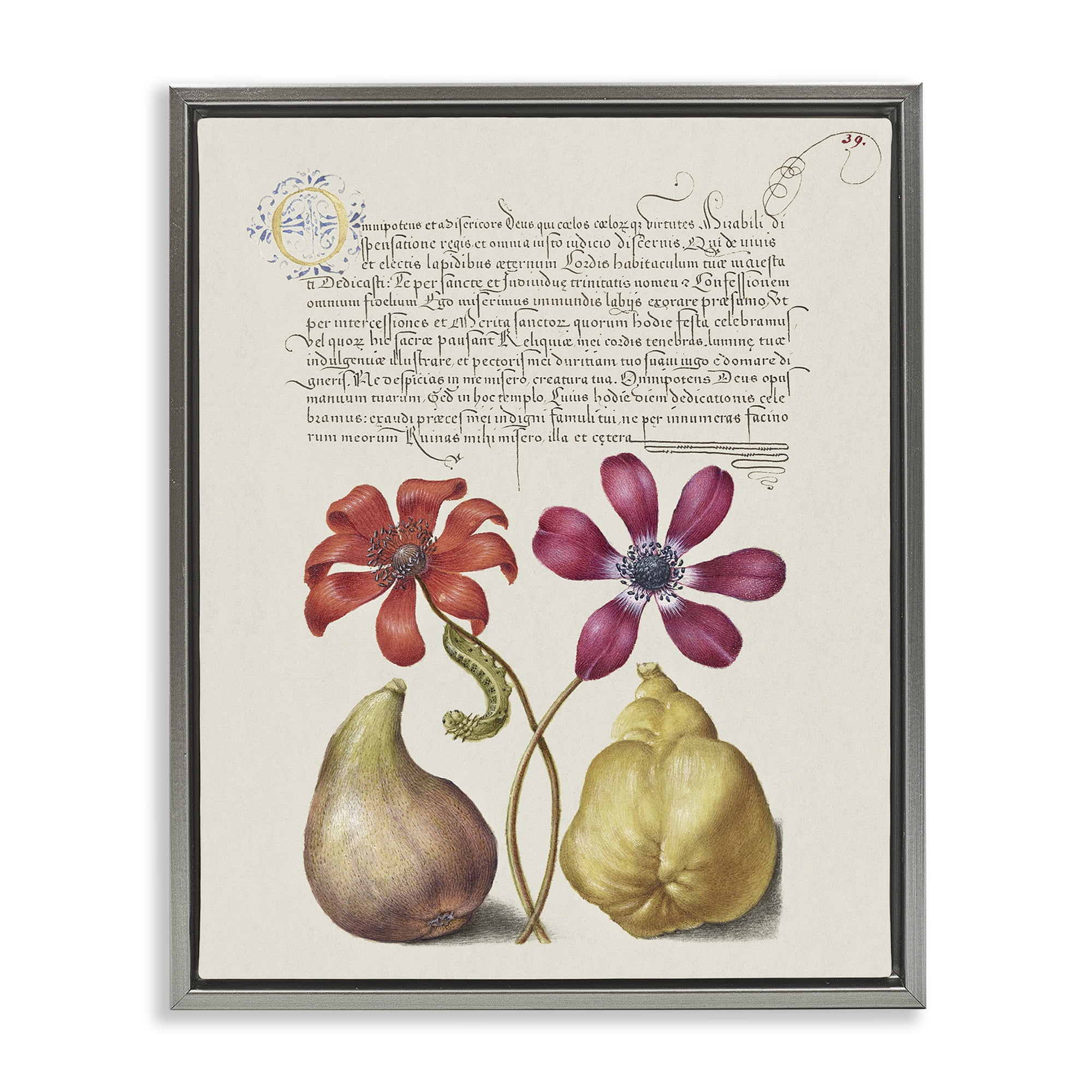 Stupell Industries Vintage Nature Page Text & Numbers Painting Gray Floater Framed Canvas Art Print Wall Art, 25 x 31
