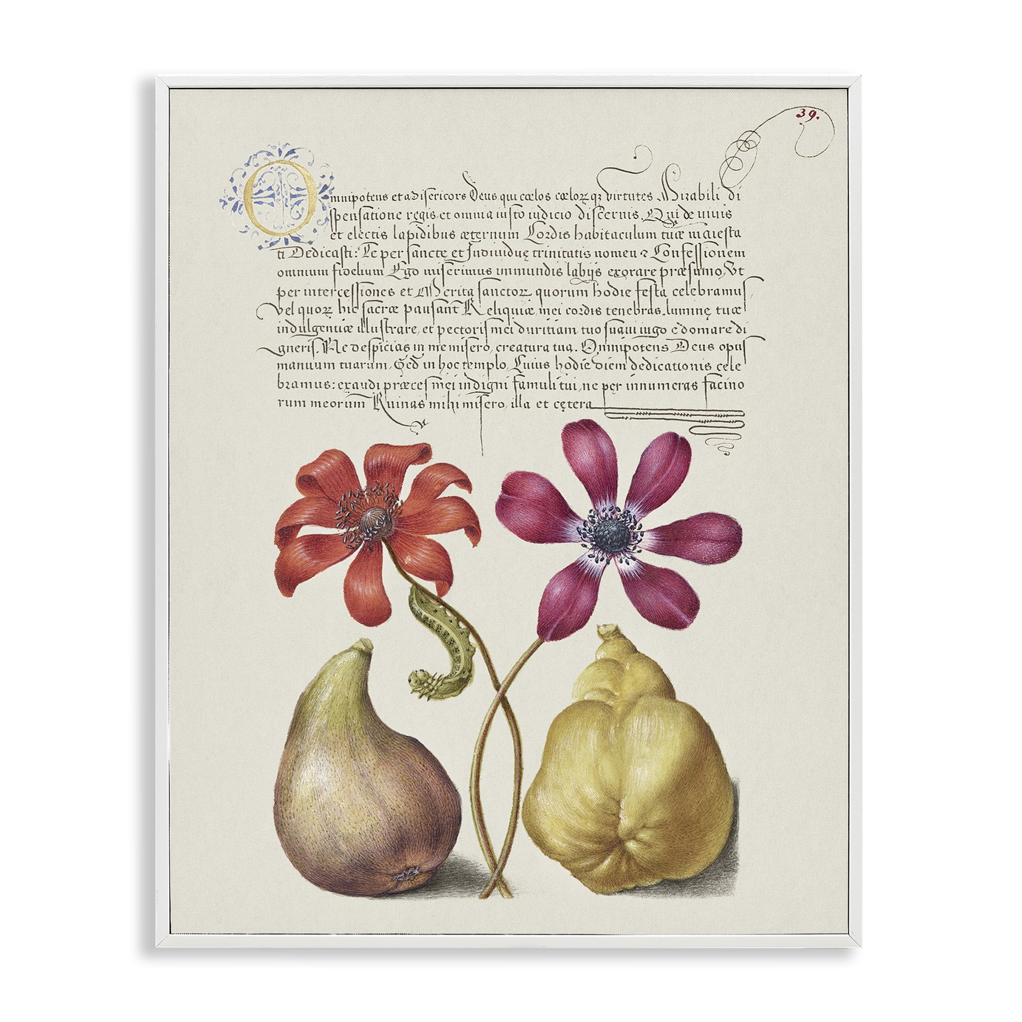 Stupell Industries Vintage Nature Page Text & Numbers Painting White Framed Art Print Wall Art, 24 x 30