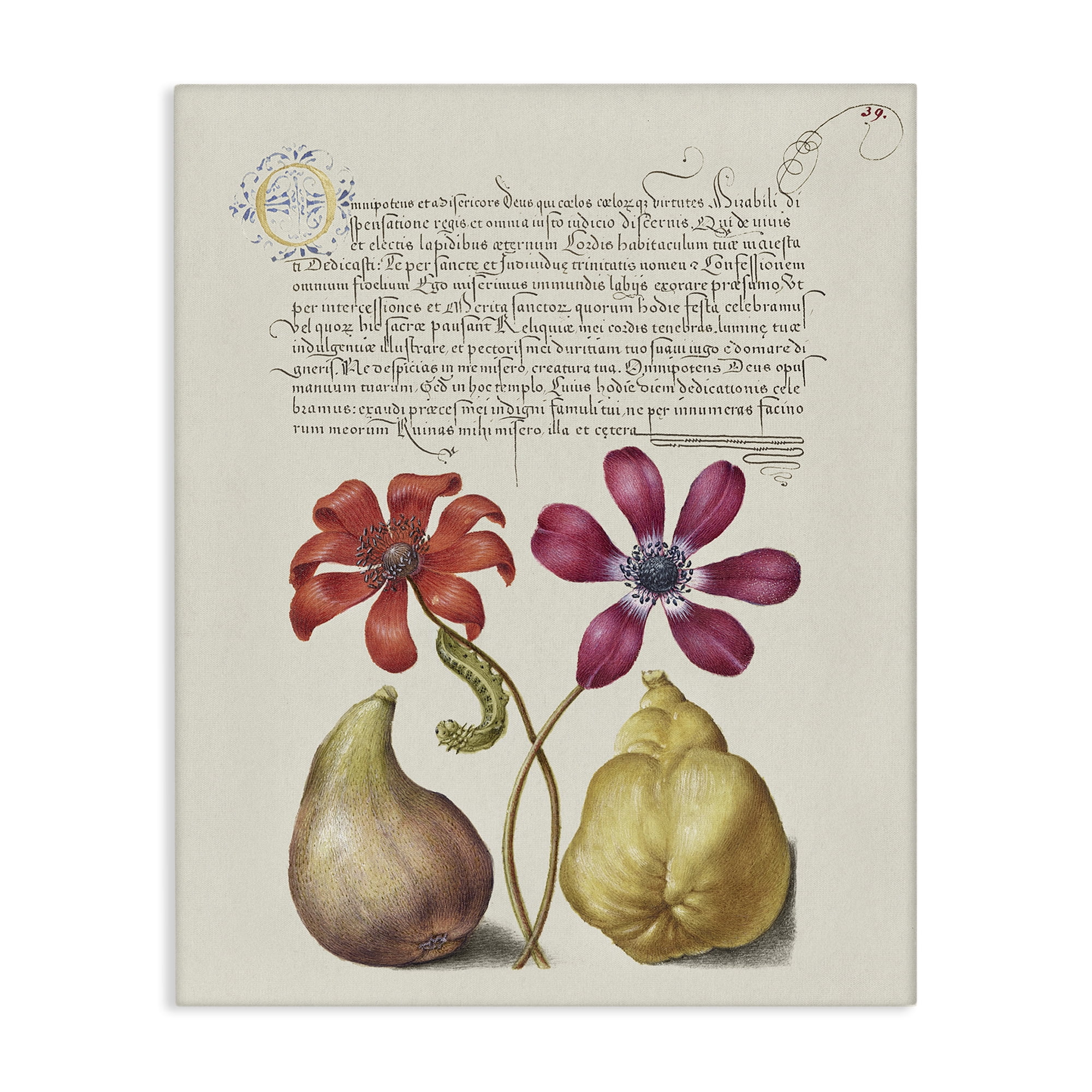 Stupell Industries Vintage Nature Page Text & Numbers Painting Wrapped Canvas Art Print Wall Art, 24 x 30