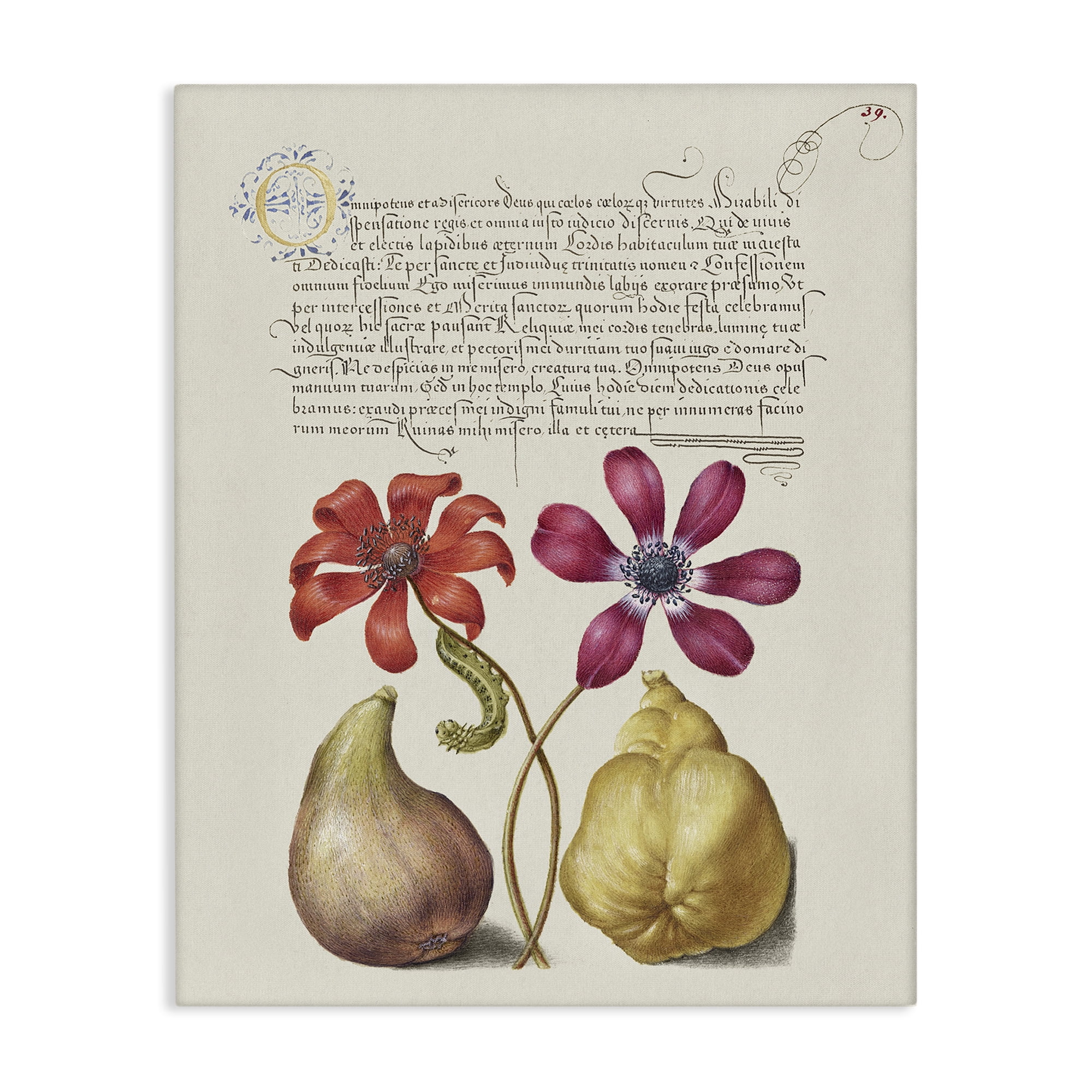 Stupell Industries Vintage Nature Page Text & Numbers Painting Wrapped Canvas Art Print Wall Art, 36 x 48