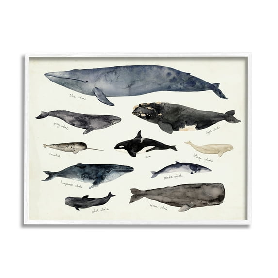 Stupell Industries Vintage Nautical Chart of Whales Ocean Life Painting Framed Art Print Wall Art, 14x11, By Victoria Barnes
