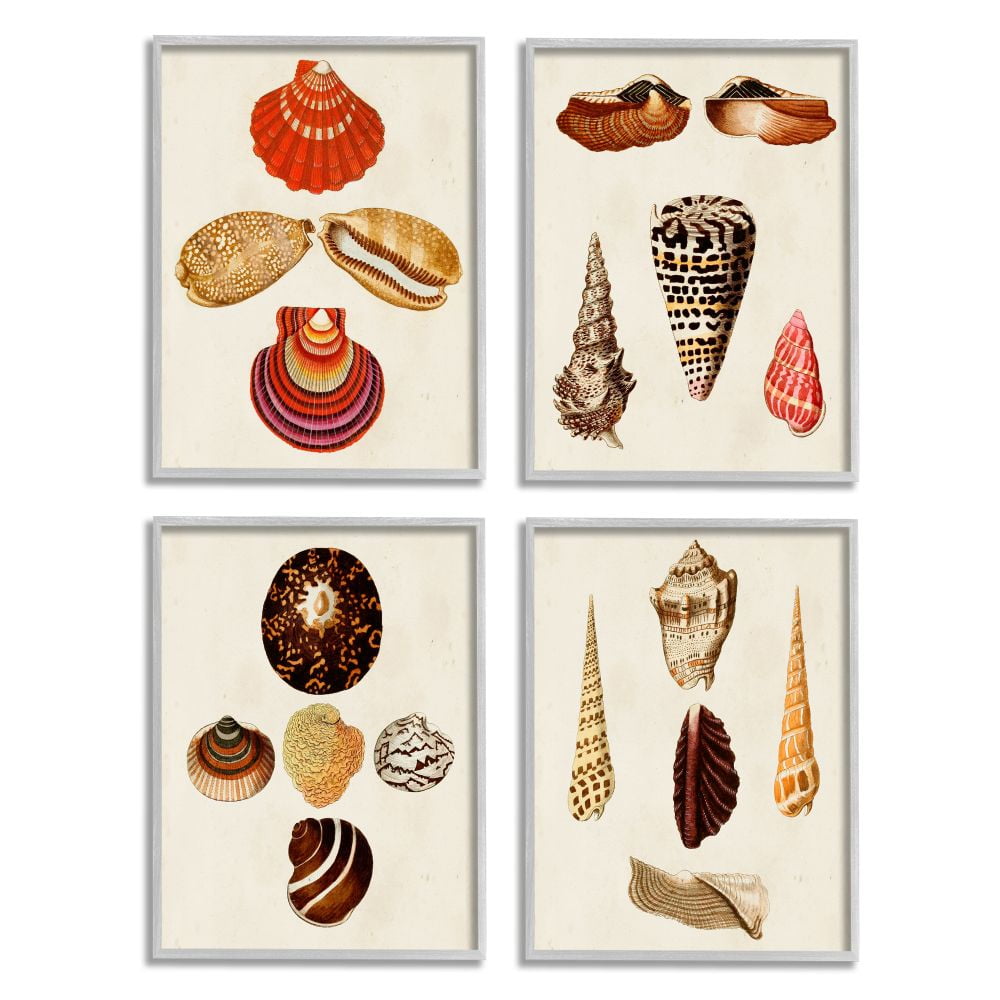 Stupell Industries Vintage Nautical Seashells Warm Red Brown Print Framed Wall Art Design by G.W. Knorr, 4 Piece, 11" x 14", Gray Framed