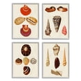 thumbnail image 1 of Stupell Industries Vintage Nautical Seashells Warm Red Brown Print Framed Wall Art Design by G.W. Knorr, 4 Piece, 11" x 14", Gray Framed, 1 of 5