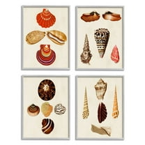 Stupell Industries Vintage Nautical Seashells Warm Red Brown Print Framed Wall Art Design by G.W. Knorr, 4 Piece, 11" x 14", Gray Framed
