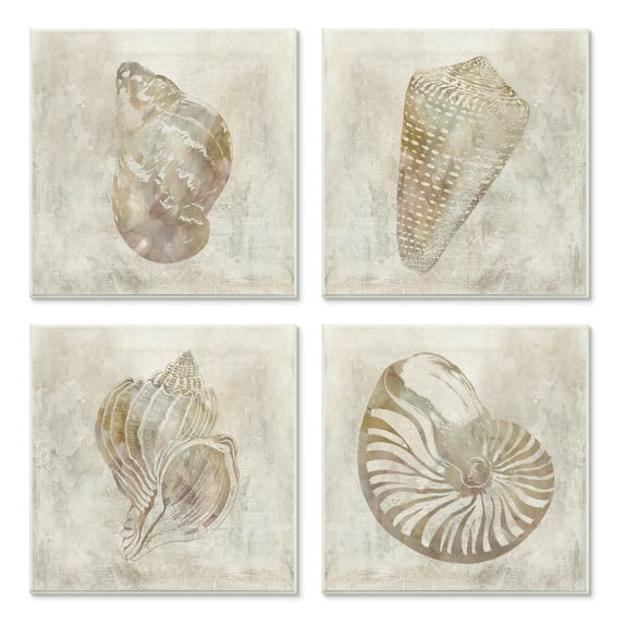 Stupell Industries Vintage Nautilus Seashells Soft Brown Patterned Aquatic Animals, 12 x 12, Design by ​Carol Robinson