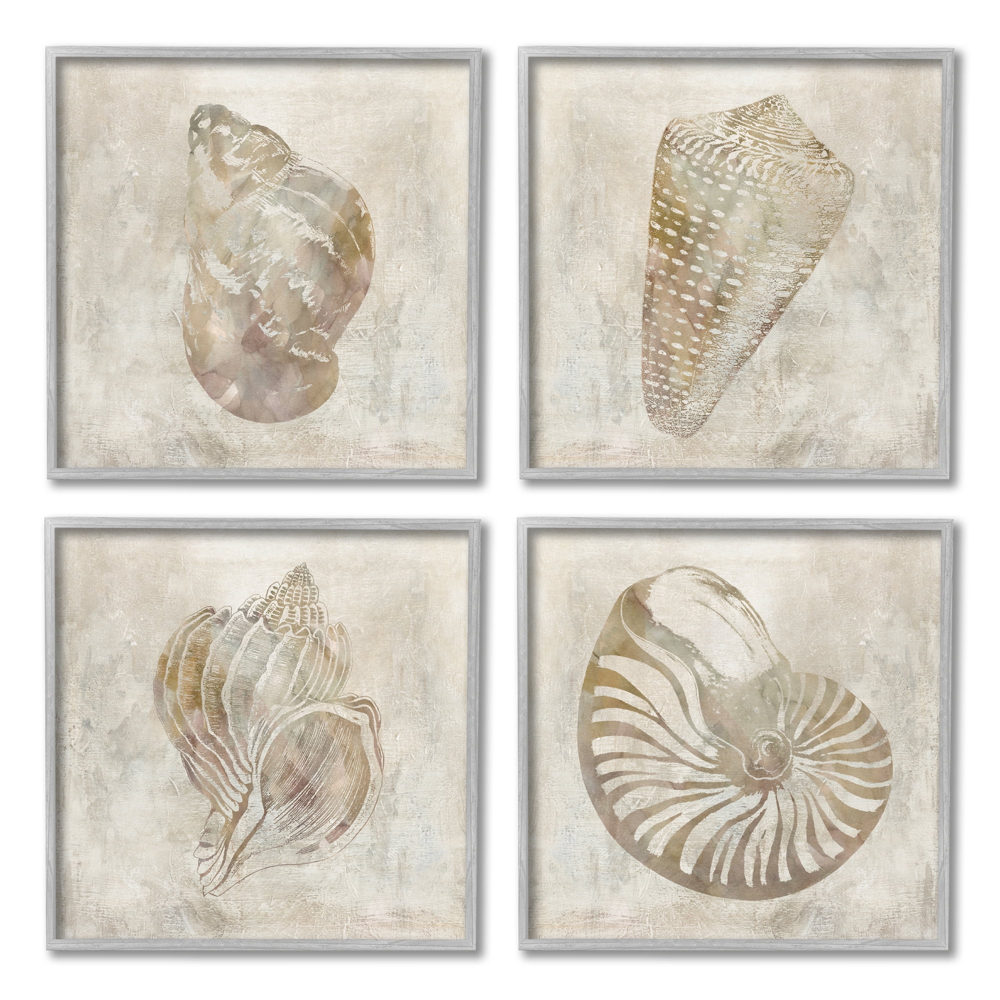 Stupell Industries Vintage Nautilus Seashells Soft Brown Patterned Aquatic Animals, 12 x 12, Design by ​Carol Robinson