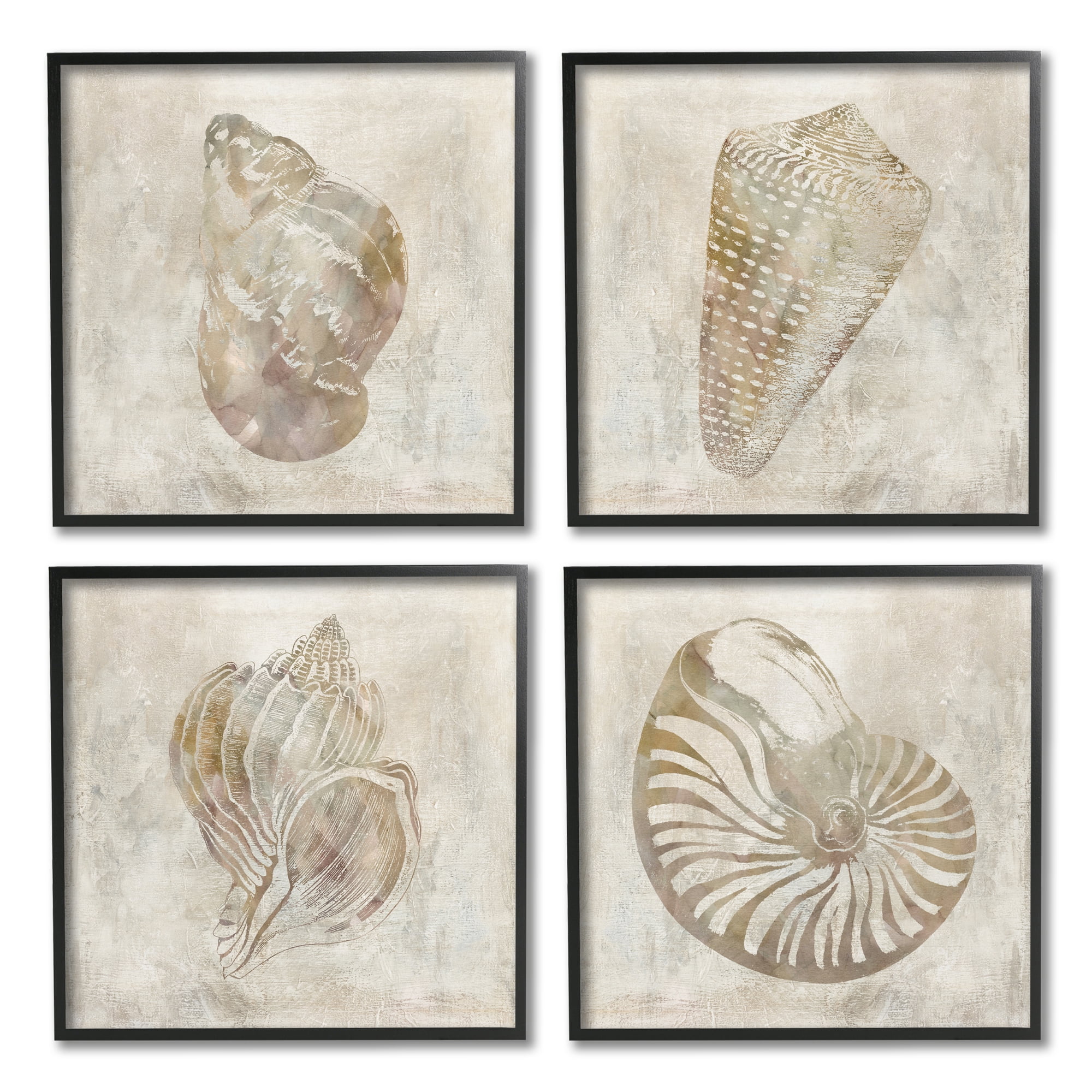 Stupell Industries Vintage Nautilus Seashells Soft Brown Patterned Aquatic Animals, 12 x 12, Design by ​Carol Robinson