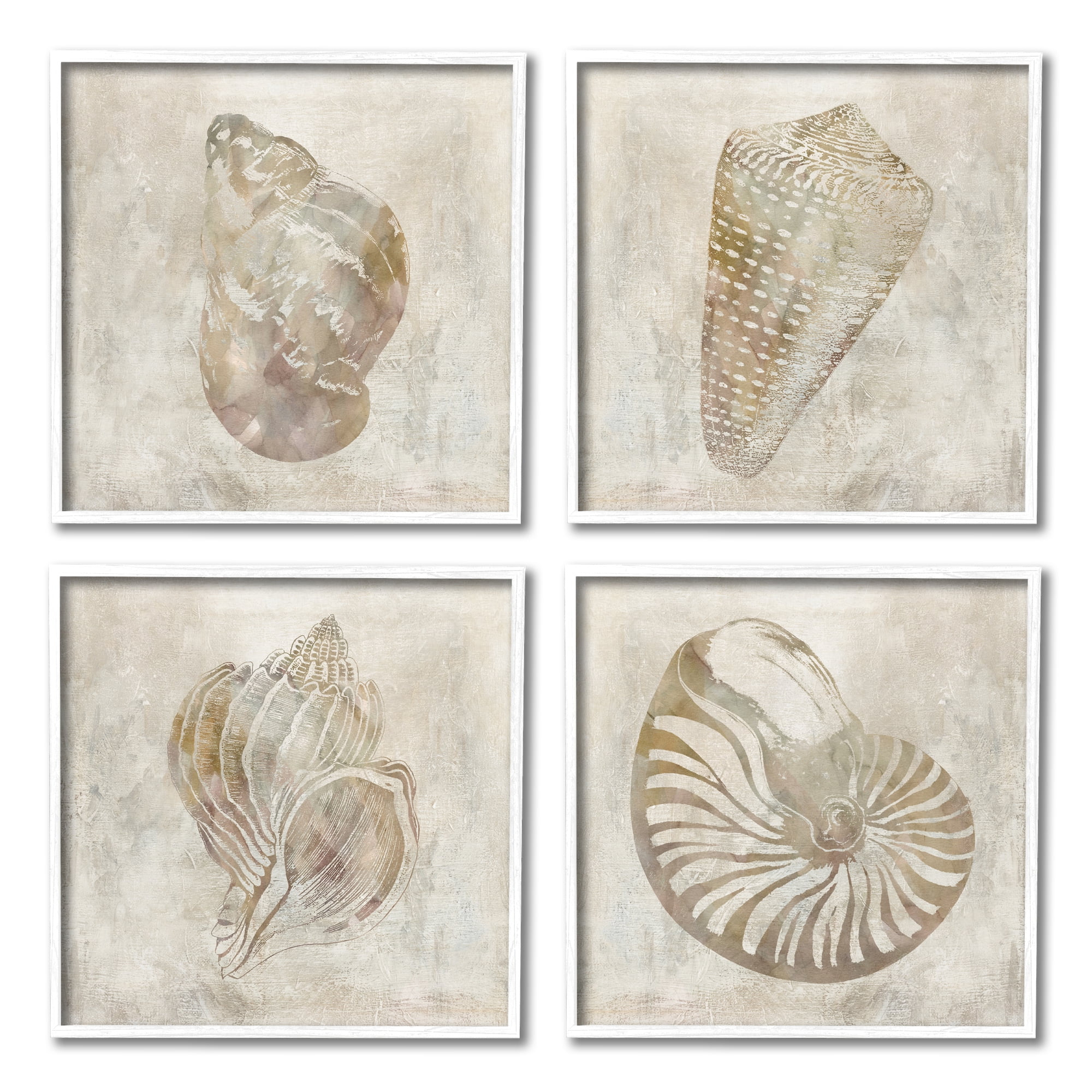 Stupell Industries Vintage Nautilus Seashells Soft Brown Patterned Aquatic Animals, 17 x 17, Design by ​Carol Robinson