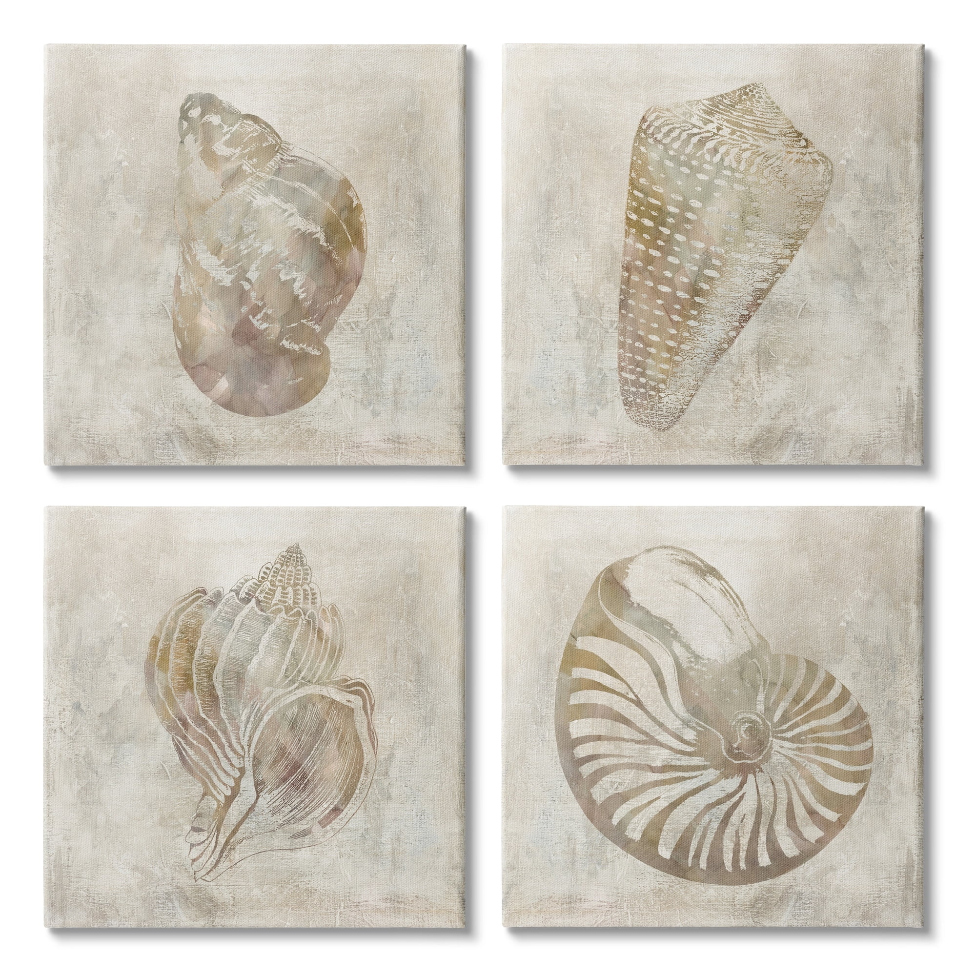 Stupell Industries Vintage Nautilus Seashells Soft Brown Patterned Aquatic Animals, 17 x 17, Design by ​Carol Robinson