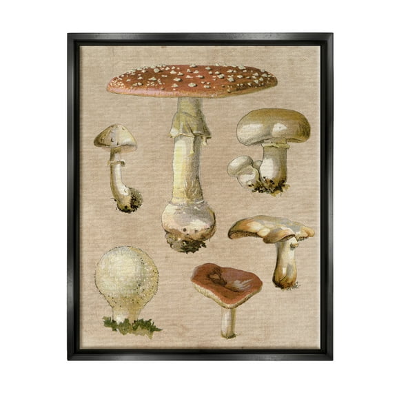 Stupell Industries Vintage Neutral Mushrooms Botanical & Floral Painting Black Floater Framed Canvas Art Print Wall Art, 17 x 21