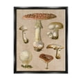 thumbnail image 1 of Stupell Industries Vintage Neutral Mushrooms Botanical & Floral Painting Black Floater Framed Canvas Art Print Wall Art, 25 x 31, 1 of 10