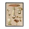 thumbnail image 1 of Stupell Industries Vintage Neutral Mushrooms Botanical & Floral Painting Black Framed Art Print Wall Art, 11 x 14, 1 of 9
