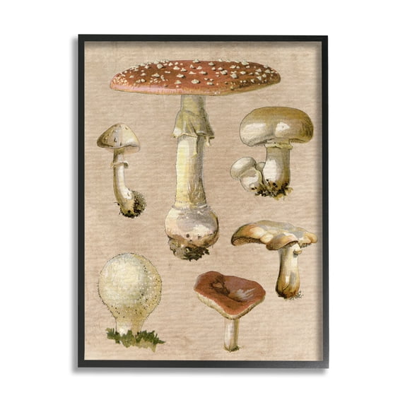 Stupell Industries Vintage Neutral Mushrooms Botanical & Floral Painting Black Framed Art Print Wall Art, 11 x 14