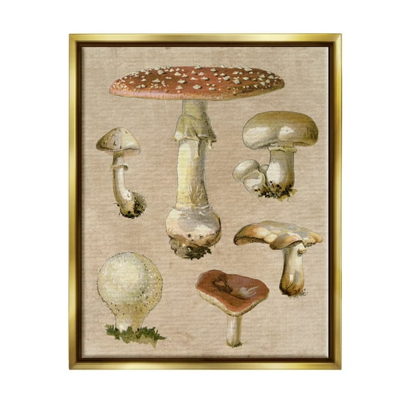 Stupell Industries Vintage Neutral Mushrooms Botanical & Floral Painting Gold Floater Framed Canvas Art Print Wall Art, 17 x 21