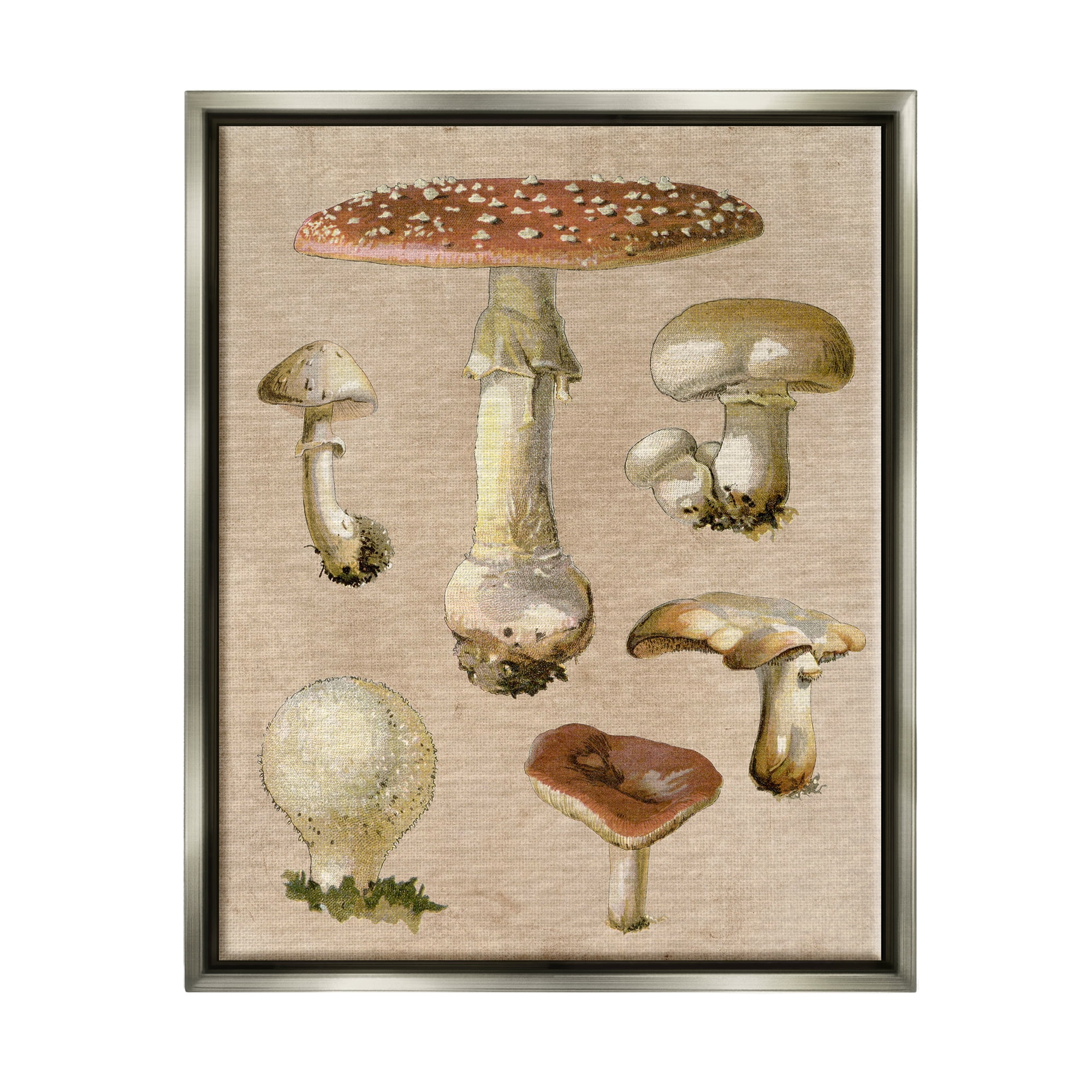 Stupell Industries Vintage Neutral Mushrooms Botanical & Floral Painting Gray Floater Framed Canvas Art Print Wall Art, 17 x 21