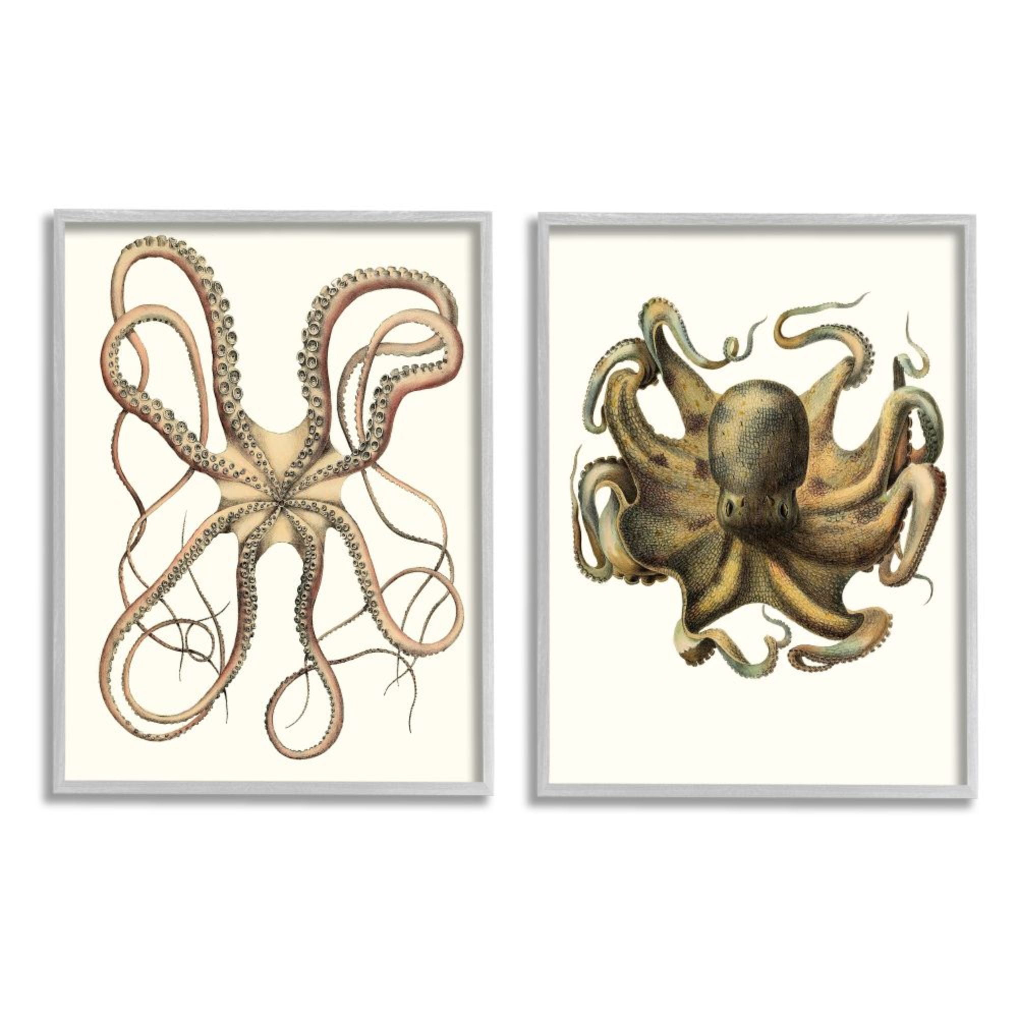 Stupell Industries Vintage Octopus Illustration Curved Tentacles Design by Unknown Artist