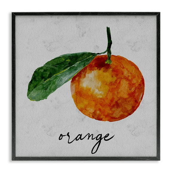 Stupell Industries Vintage Orange with Leaf Food & Beverage Painting Black Framed Art Print Wall Art, 12 x 12
