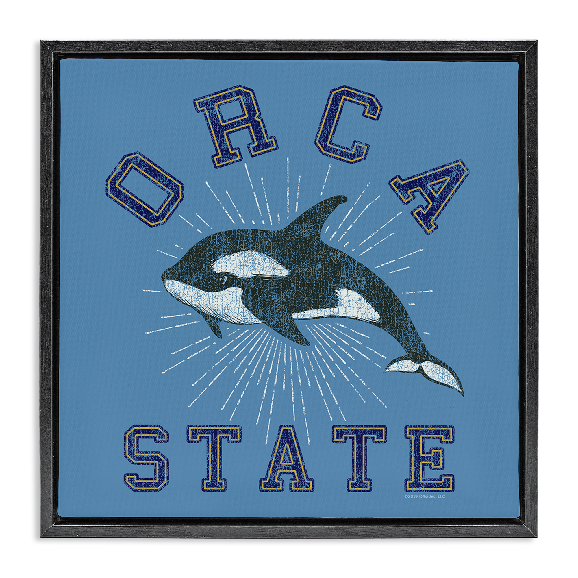 Stupell Industries Vintage Orca State Animals Painting Black Floater Framed Canvas Art Print Wall Art, 18 x 18