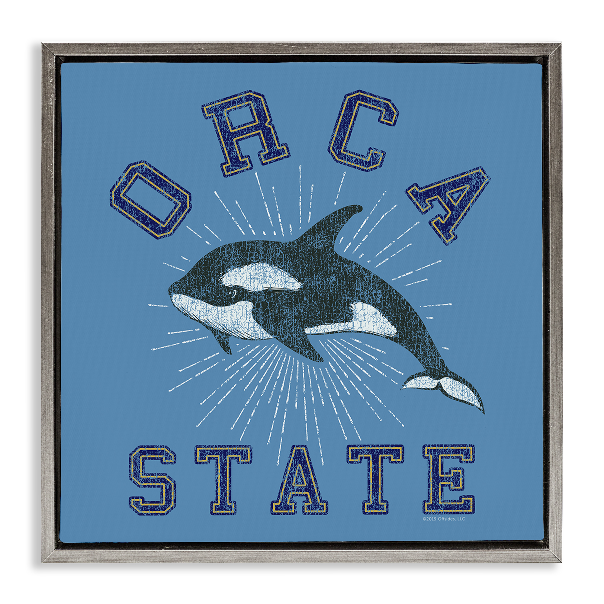 Stupell Industries Vintage Orca State Animals Painting Gray Floater Framed Canvas Art Print Wall Art, 25 x 25