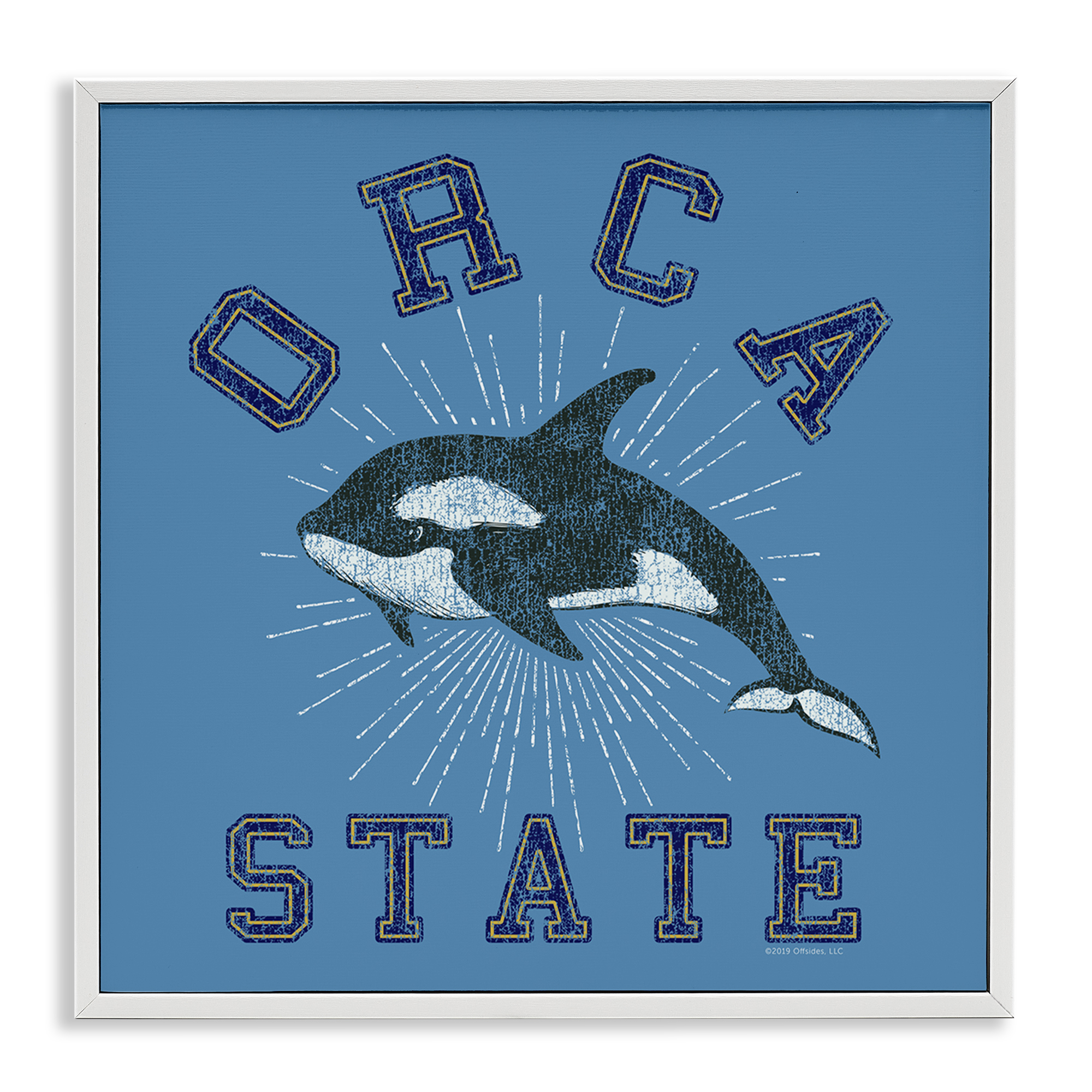 Stupell Industries Vintage Orca State Animals Painting White Framed Art Print Wall Art, 24 x 24