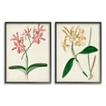 thumbnail image 1 of Stupell Industries Vintage Orchid Illustration Pink Yellow Florals Design by Unknown Artist, 1 of 1