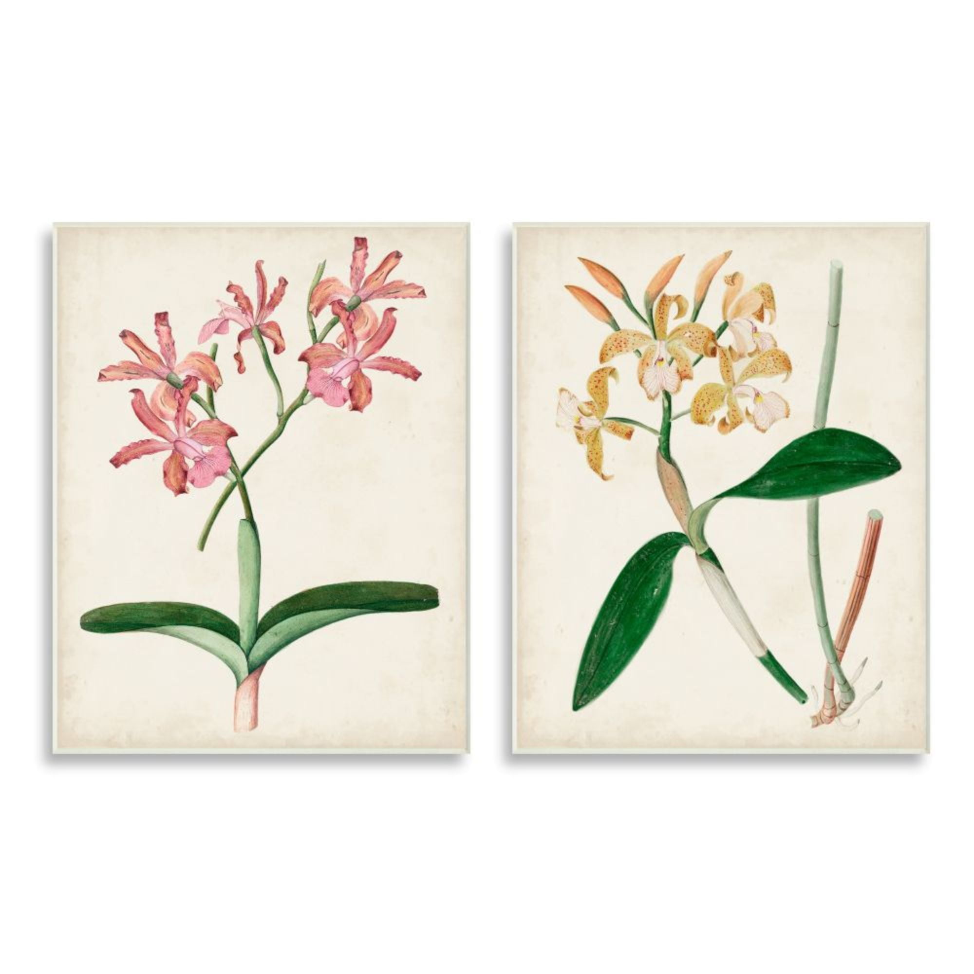 Vintage Pink and Yellow Orchid Wood Wall Art Set
