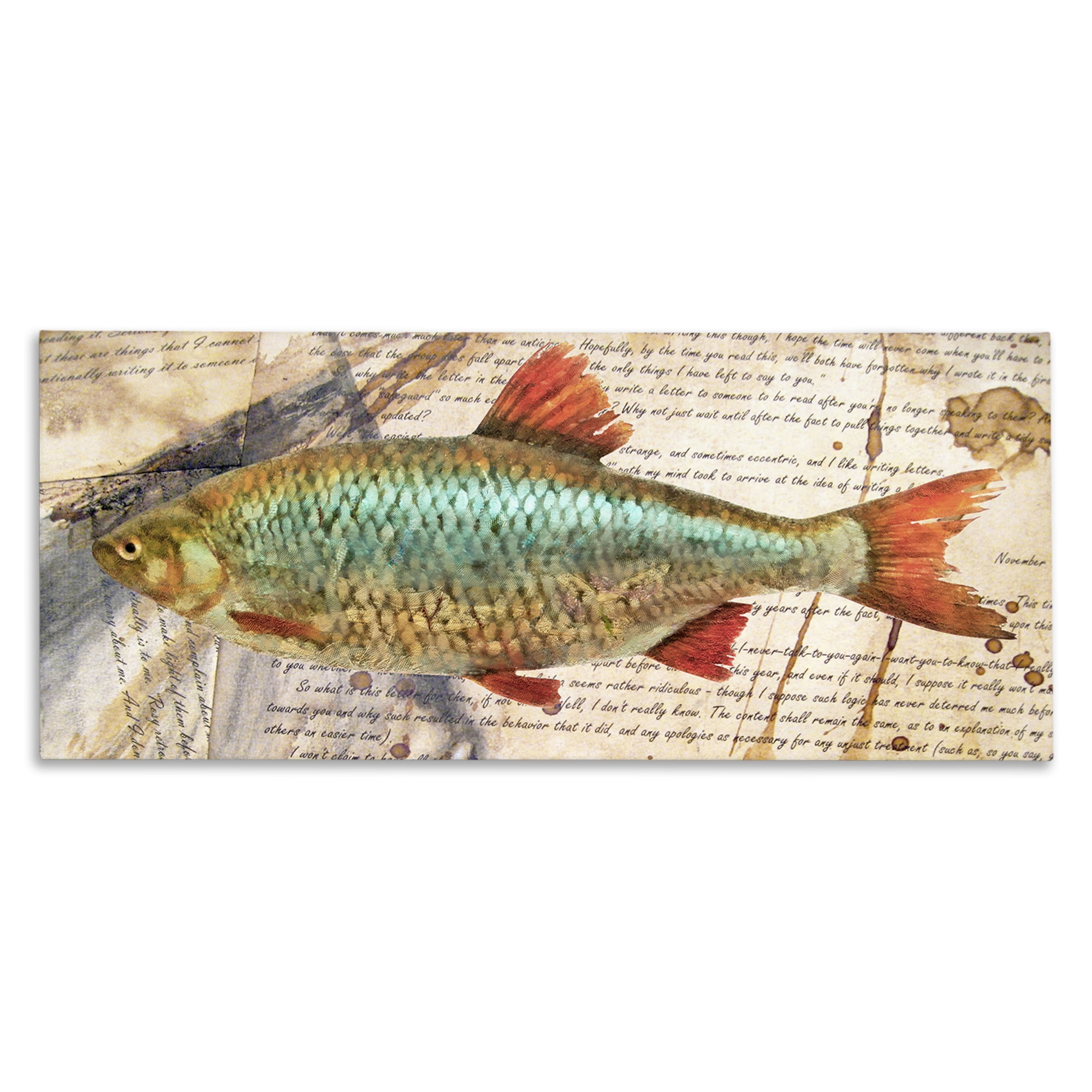 Stupell Industries Vintage Pages & Fish Animals & Insects Painting Gallery Wrapped Canvas Art Print Wall Art, 40 x 17