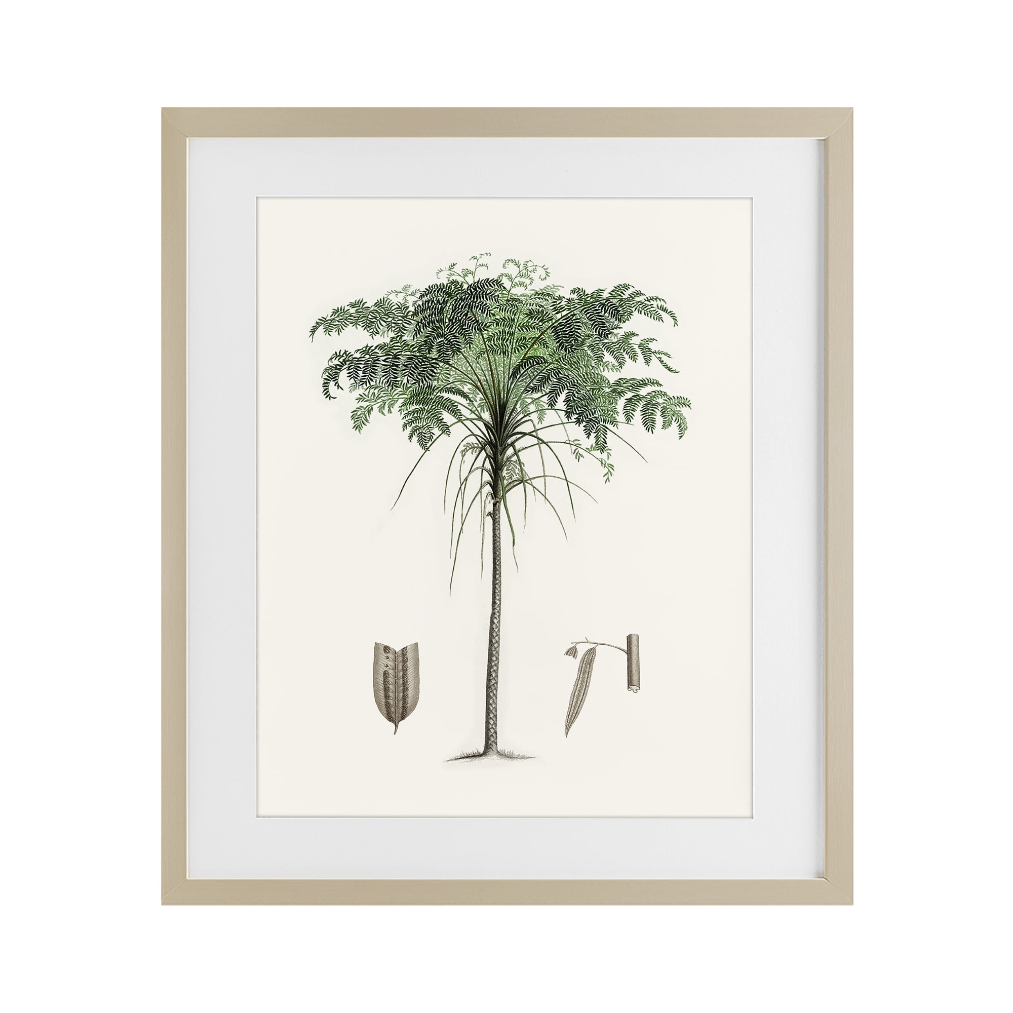 Stupell Industries Vintage Palm Leaves Birch Framed Print Under Glass, design by Val Rhodes