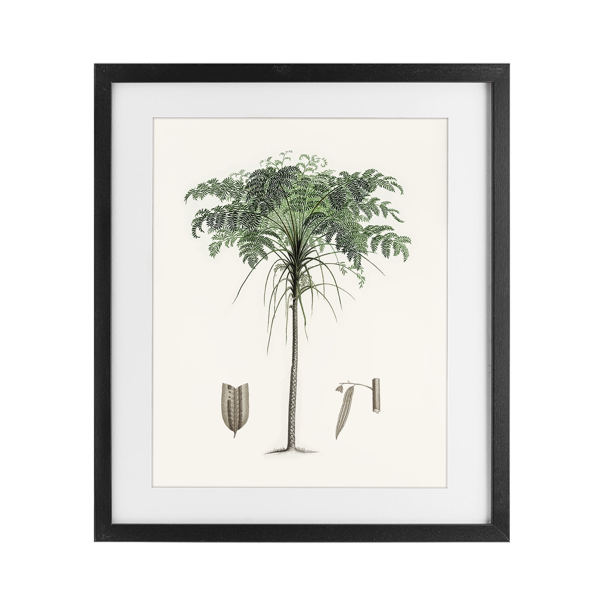 Stupell Industries Vintage Palm Leaves Black Framed Print Under Glass, design by Val Rhodes
