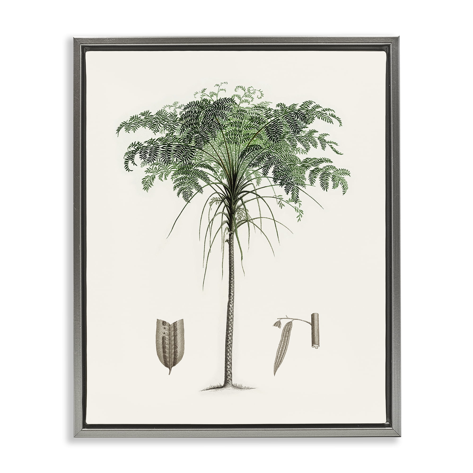 Stupell Industries Vintage Palm Leaves Gray Framed Floater Canvas Wall Art, design by Val Rhodes