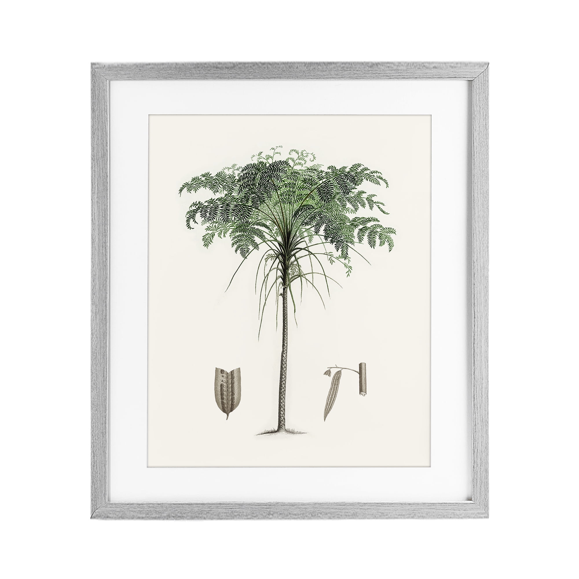 Stupell Industries Vintage Palm Leaves Gray Framed Print Under Glass, design by Val Rhodes