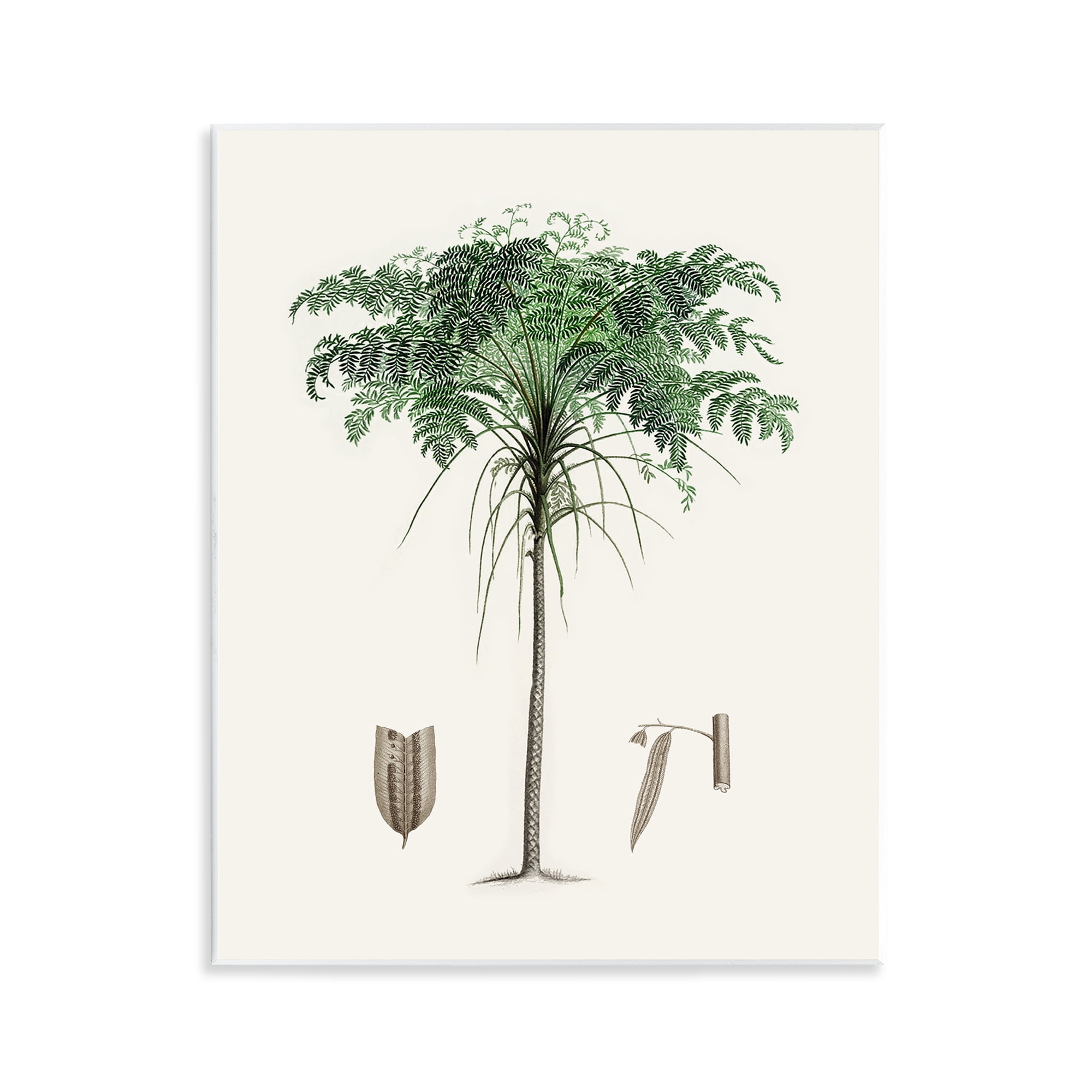 Stupell Industries Vintage Palm Leaves Wall Plaque Art, design by Val Rhodes