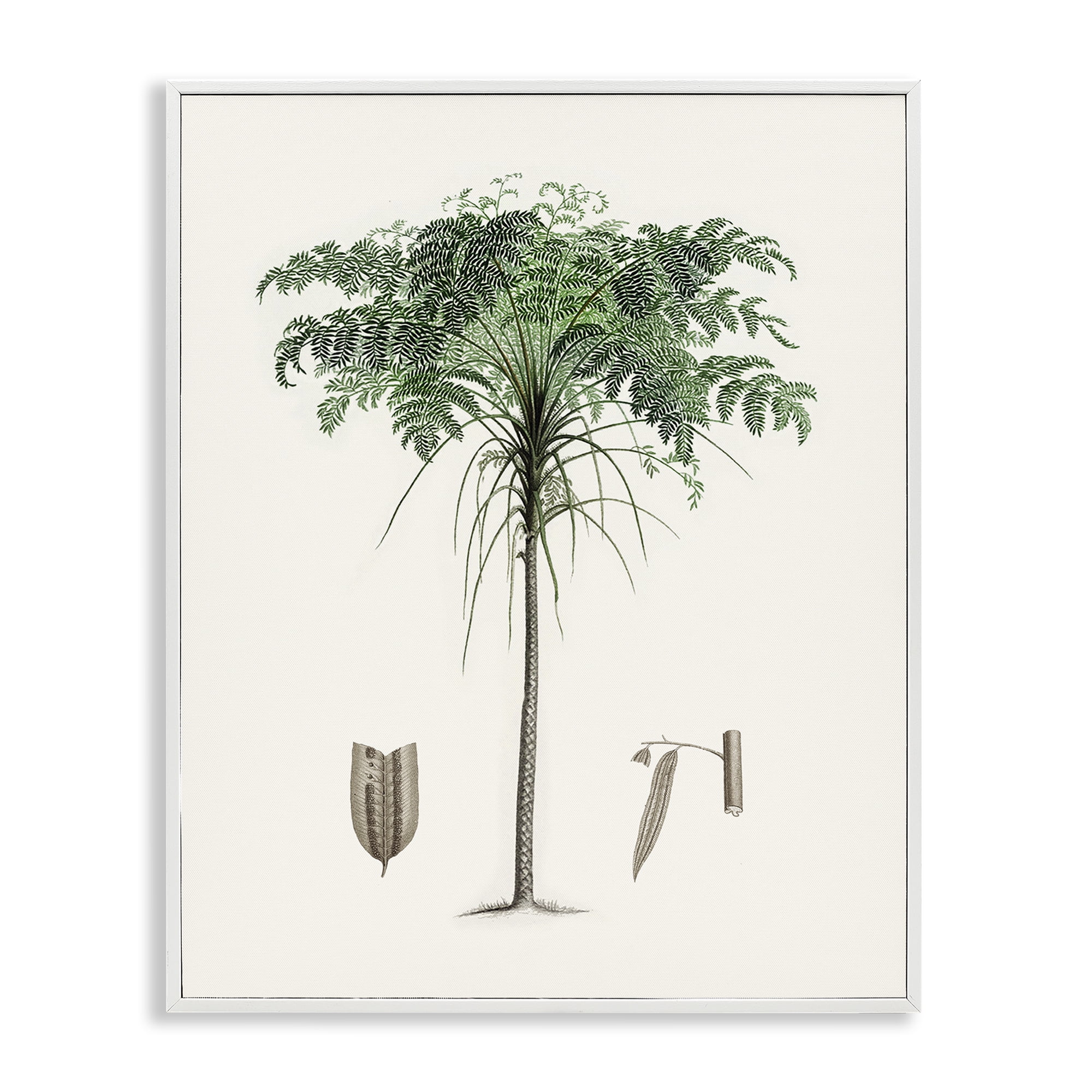 Stupell Industries Vintage Palm Leaves White Framed Giclee Art, design by Val Rhodes
