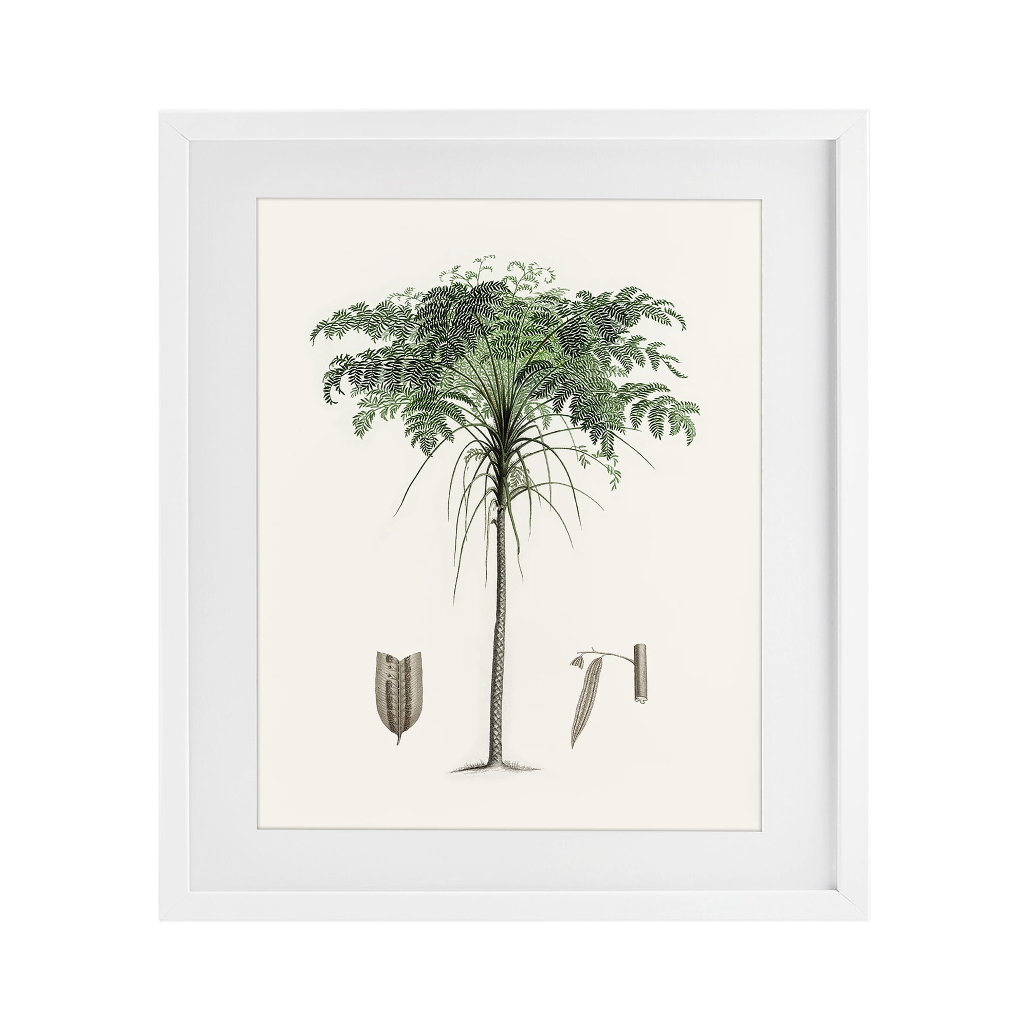 Stupell Industries Vintage Palm Leaves White Framed Print Under Glass, design by Val Rhodes